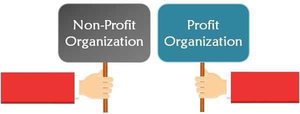 profit and non profit organization
