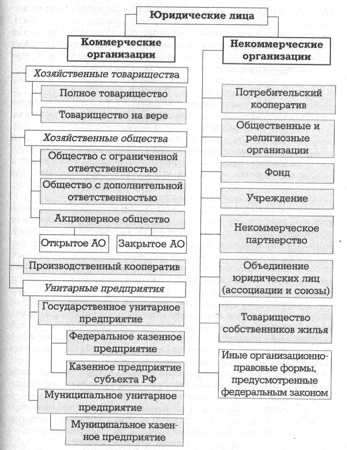 Коммерческие и некоммерческие организации схема