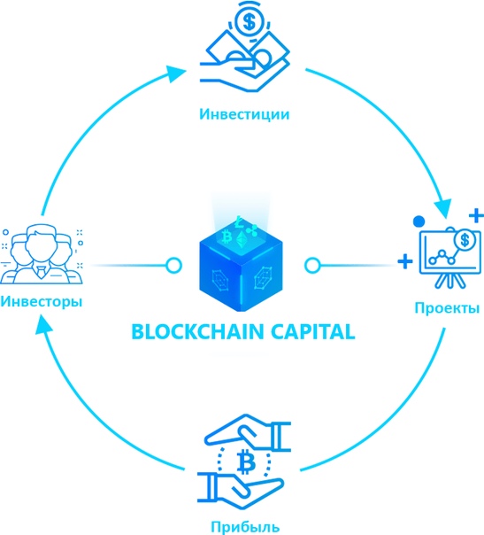 Новые токен проекты