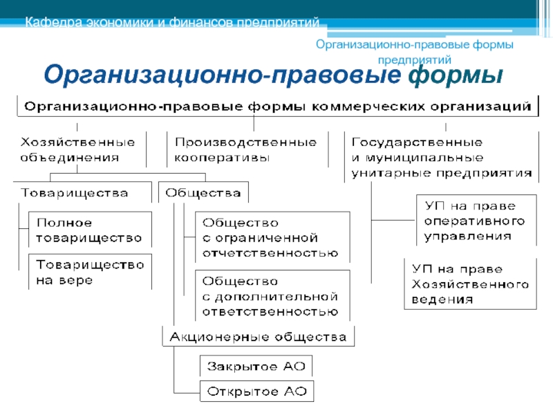 Конспект схему на тему организационно правовые формы юридических лиц в российской федерации