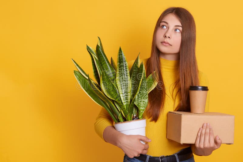 Pensive lady dresses casual clothing holding her staff and flowerpot in hands, looking aside, thinks about her dismissal, being. Sad, looks thoughtful, standing royalty free stock photos