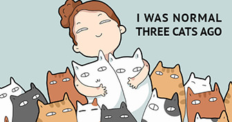 40 Funny Doodles For Cat Lovers and Your Cat Crazy Lady Friend