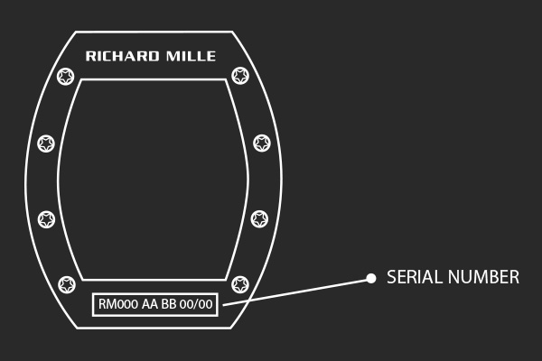 Richard Mille Diagram